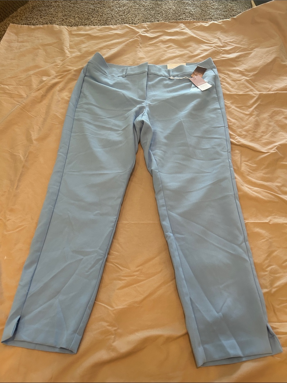 Lane Bryant Light Blue Cropped Dress Pants
